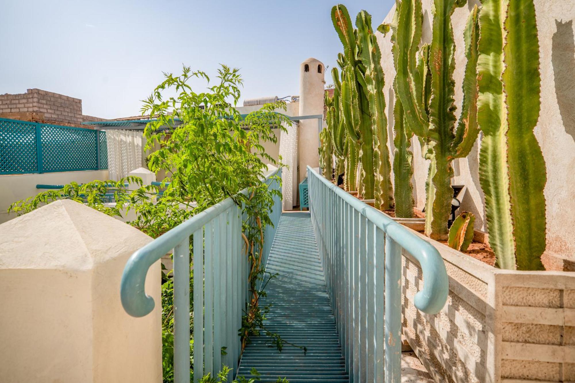 Dar Palma Heated Pool Jacuzzi Heart Of Marrakech Medina Marrakesh